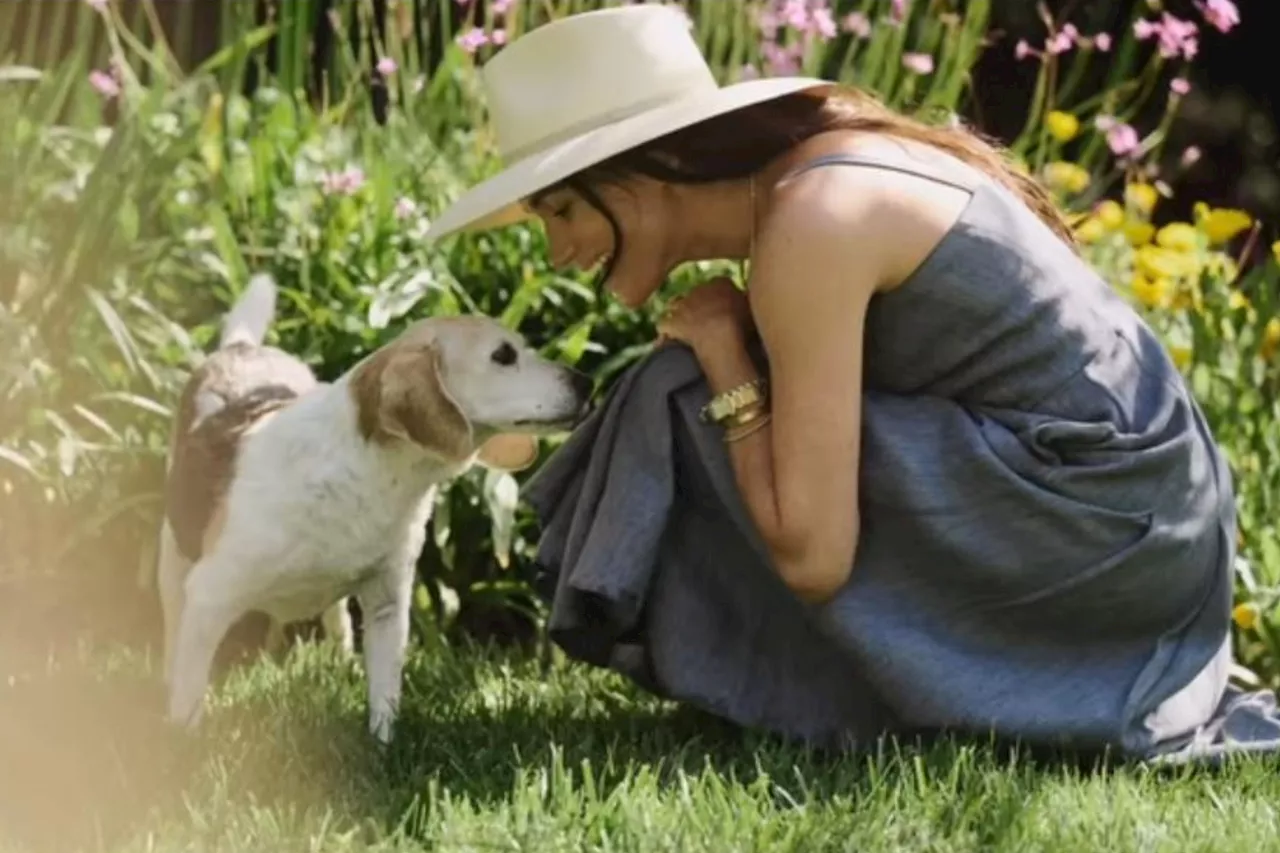 Meghan Markle Mourns the Loss of Beloved Beagle, Guy