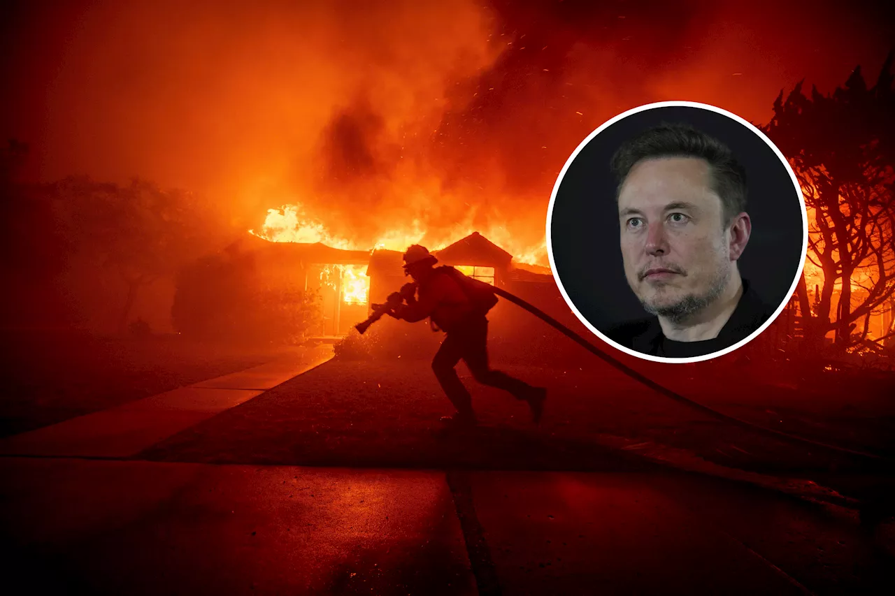 Musk Blames 'Nonsense Regulations' for California Wildfires