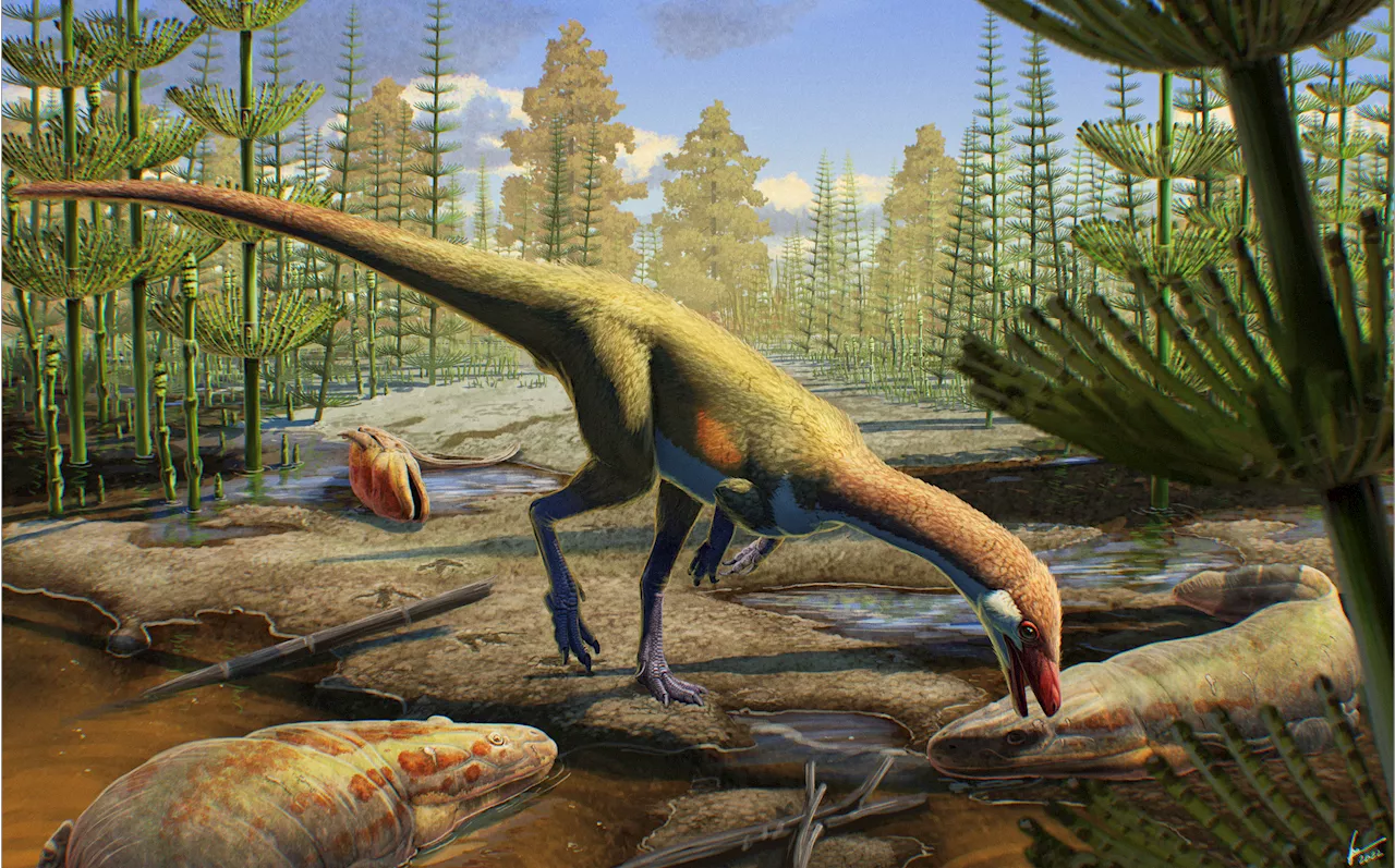 North America's Oldest Dinosaur Discovered