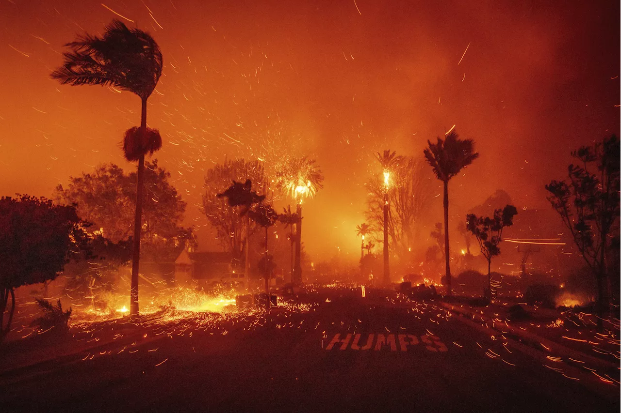 Southern California Battles Wildfires Fueled by Powerful Santa Ana Winds