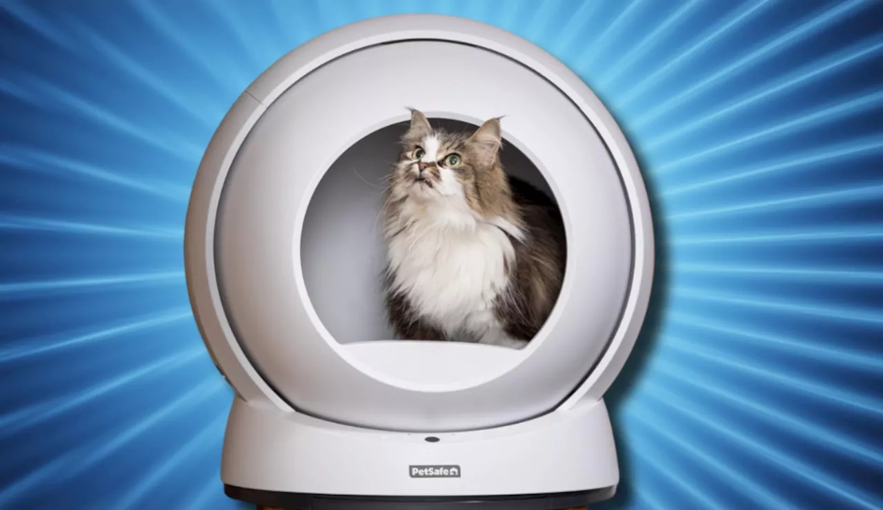 Self-Cleaning Litter Boxes: A Cat Lover's Dream