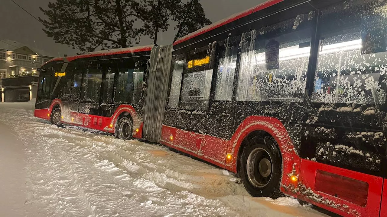 Jånny Kristiansen om snøværet: -Tenk hvor mye glede vi kan få fra snøen