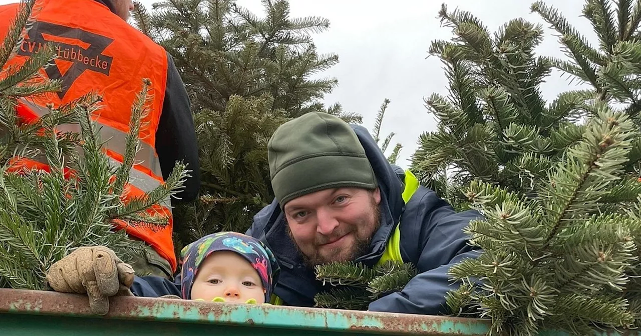 Ausgediente Weihnachtsbäume im Lübbecker Land: Abgabestellen und Sammelaktionen