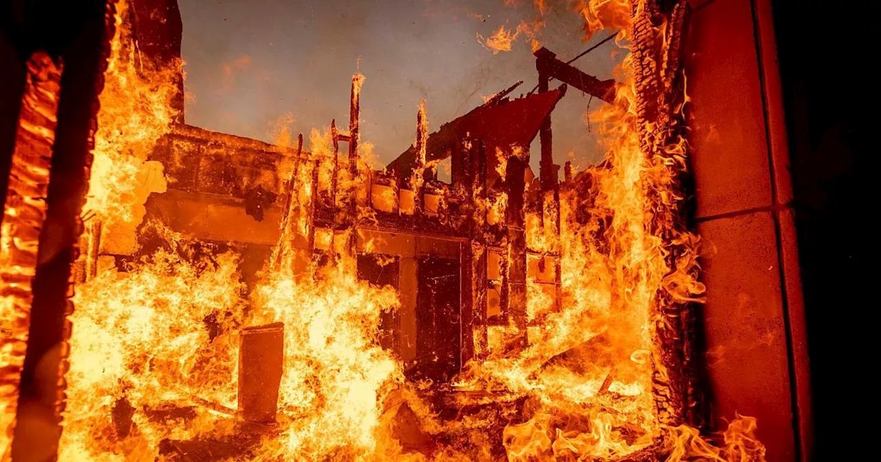 Verheerende Waldbrände in Los Angeles