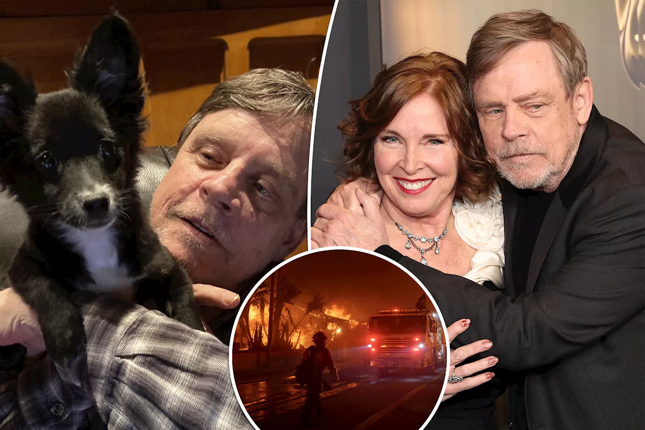 Mark Hamill Evacuates Malibu Amidst Wildfires, Steve Guttenberg Helps Residents