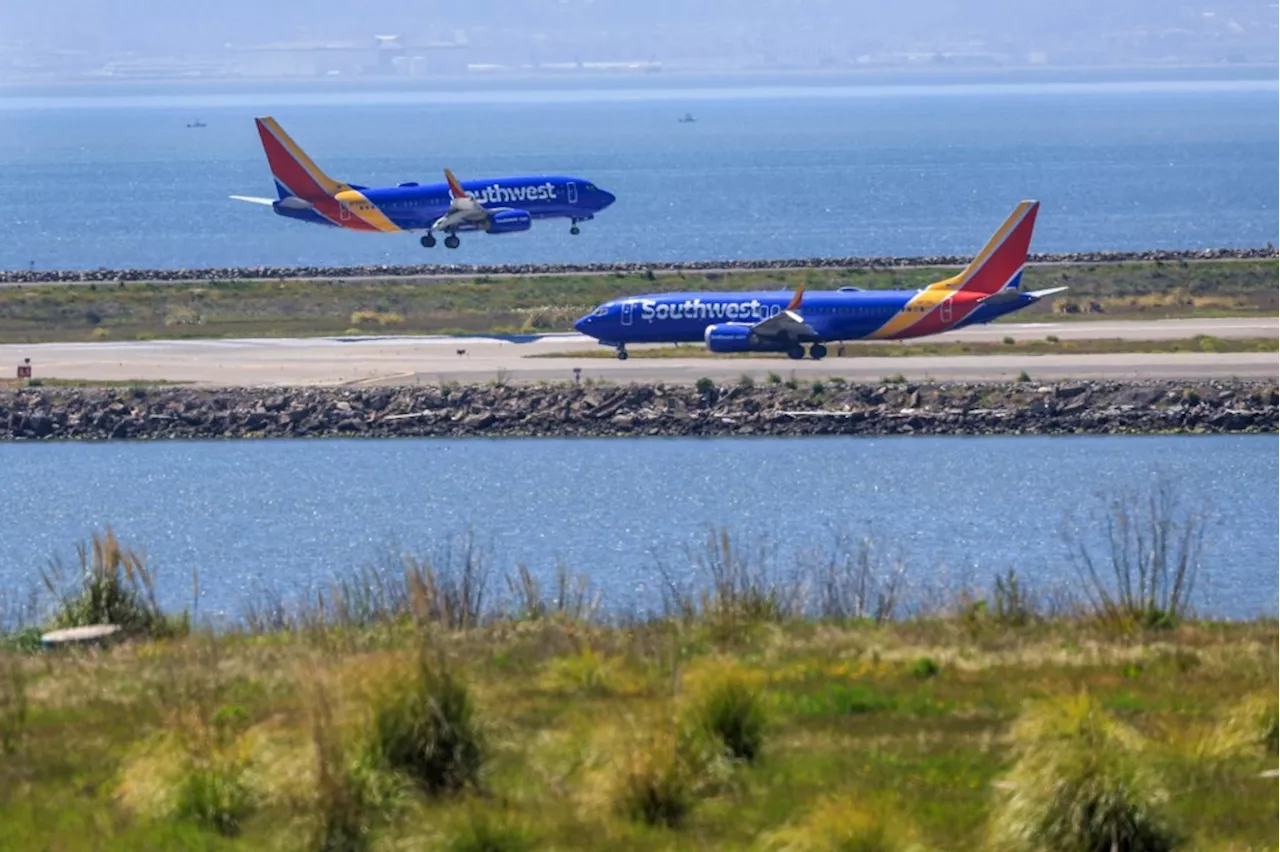 Woman Arrested at Oakland Airport with 51 Pounds of Marijuana