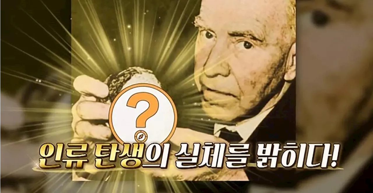 인간의 조상은 원숭이?