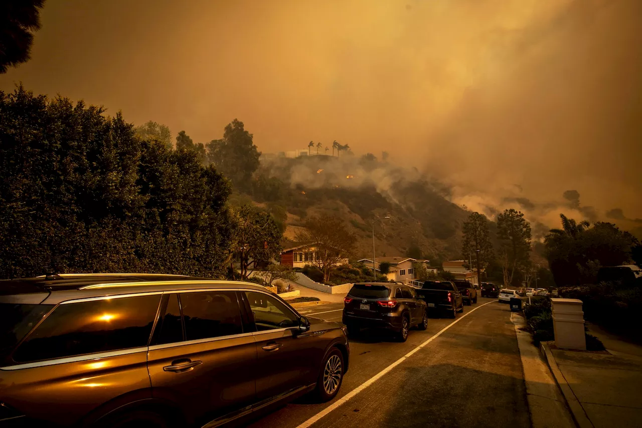 Wildfire Ravages Los Angeles Hillside as Record Winds Fuel Blaze