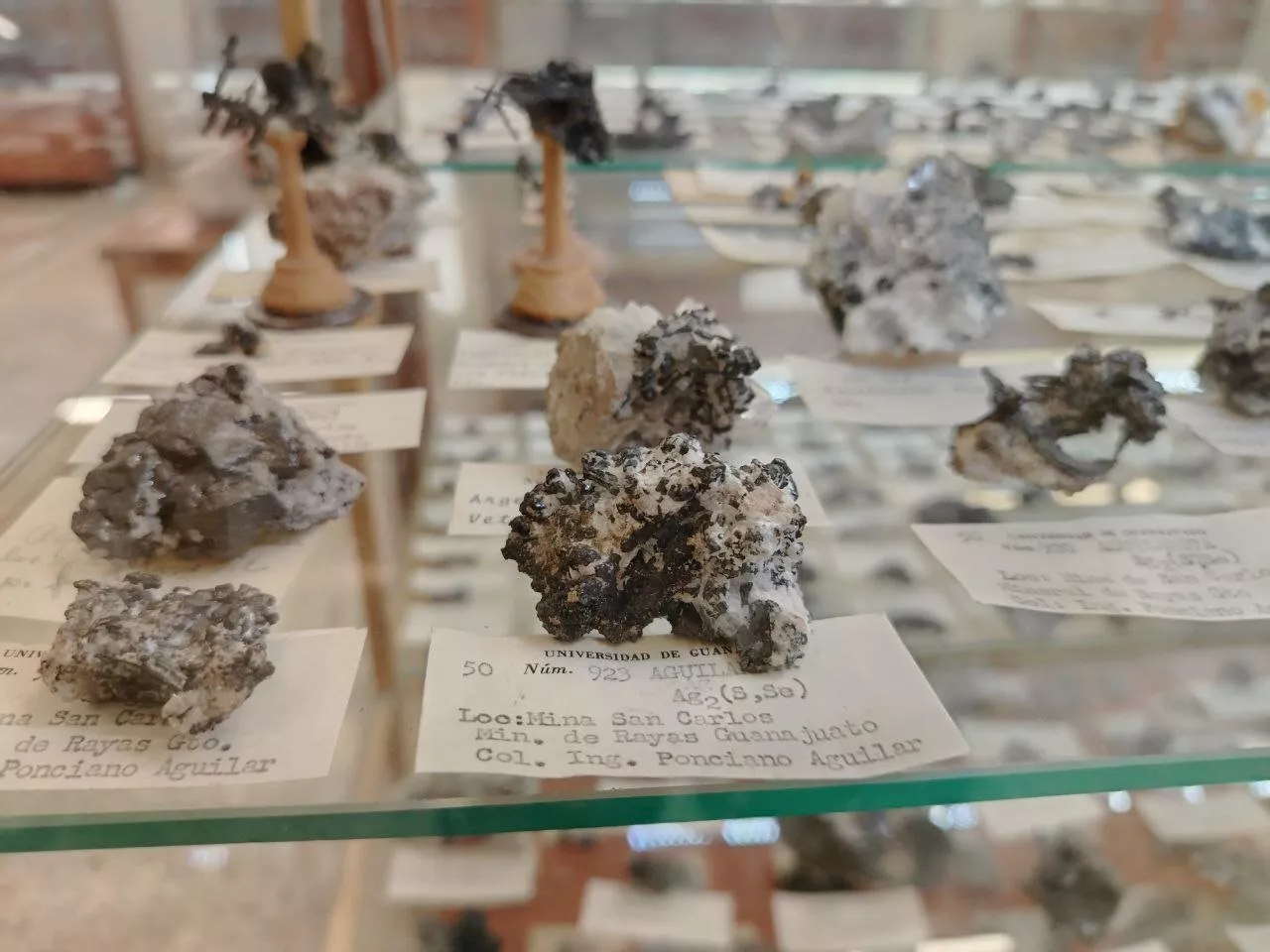 Museo de Mineralogía Eduardo Villaseñor Söhle: Un viaje al interior de la Tierra