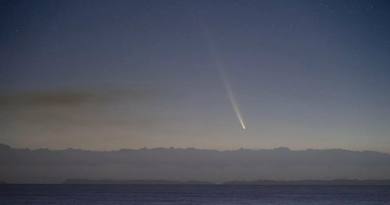 New Year Comet Could Outshine Venus