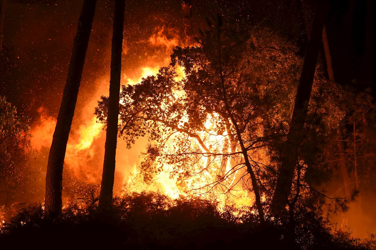 Incendie ravage les collines de Los Angeles