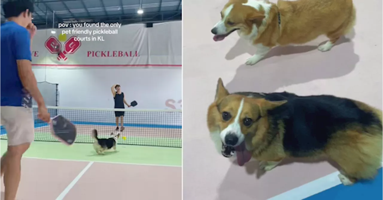 Pet-Friendly Pickleball Court Opens in Puchong