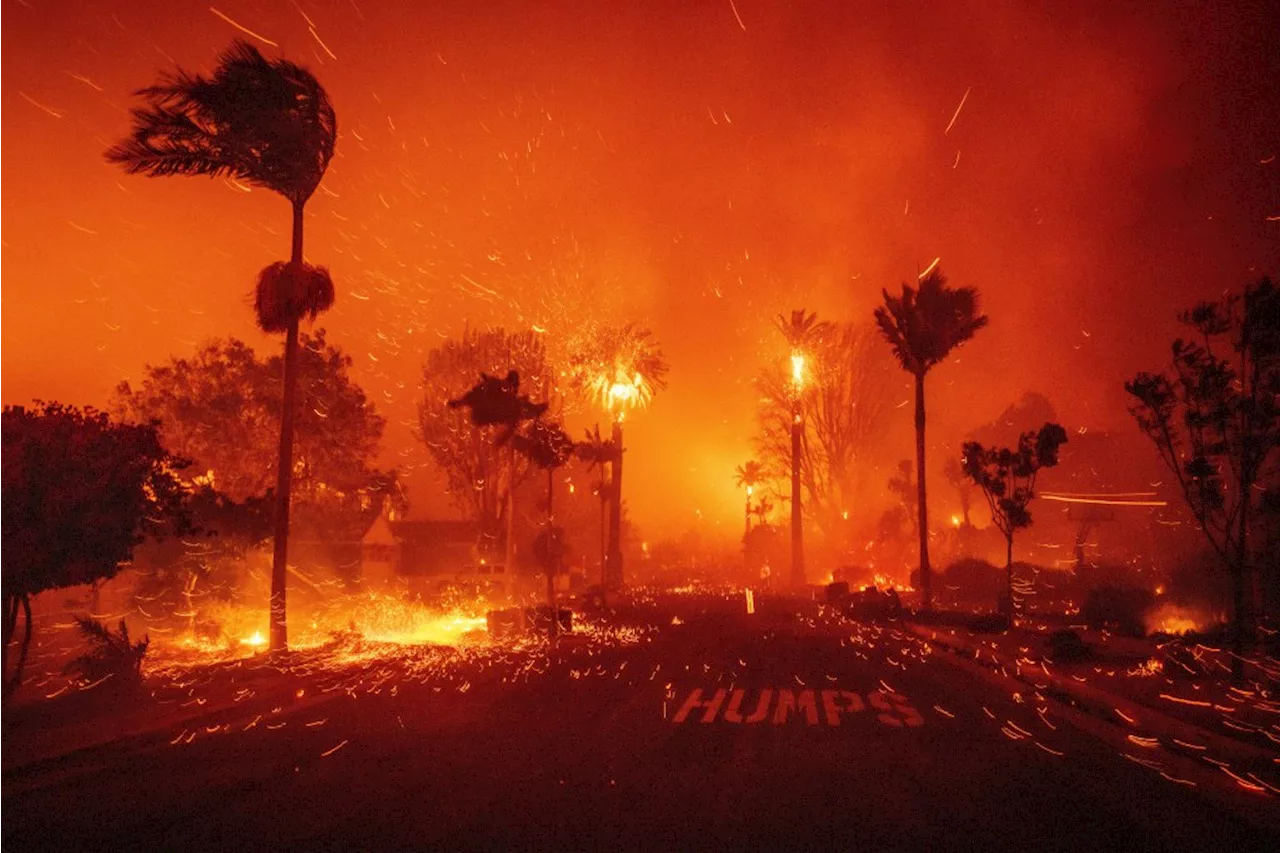 Palisades Fire Engulfs Pacific Palisades Amid High Winds