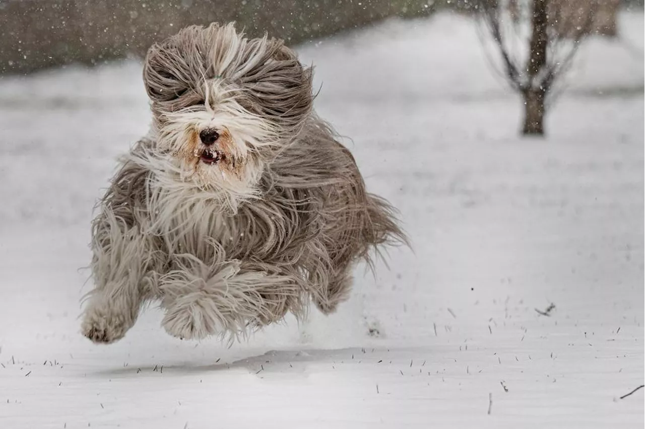 Winter Storm Threatens Southern Plains