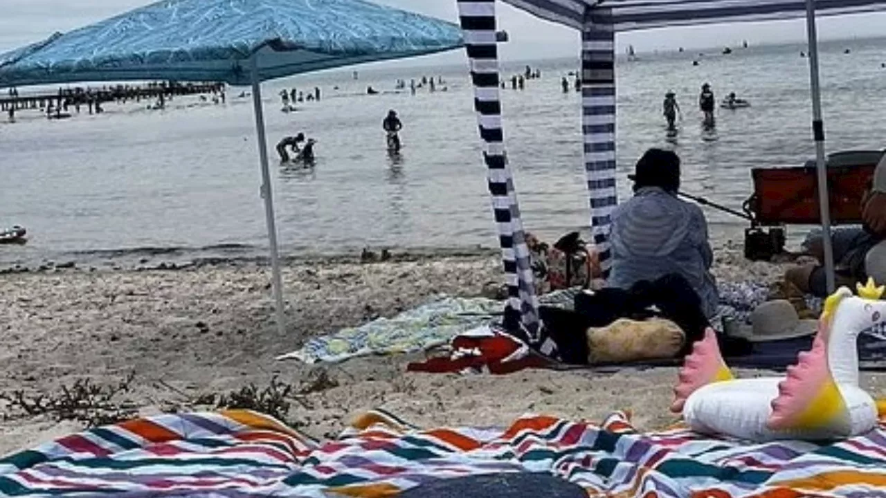 Aussie Beachgoers Spar Over Cabana Etiquette