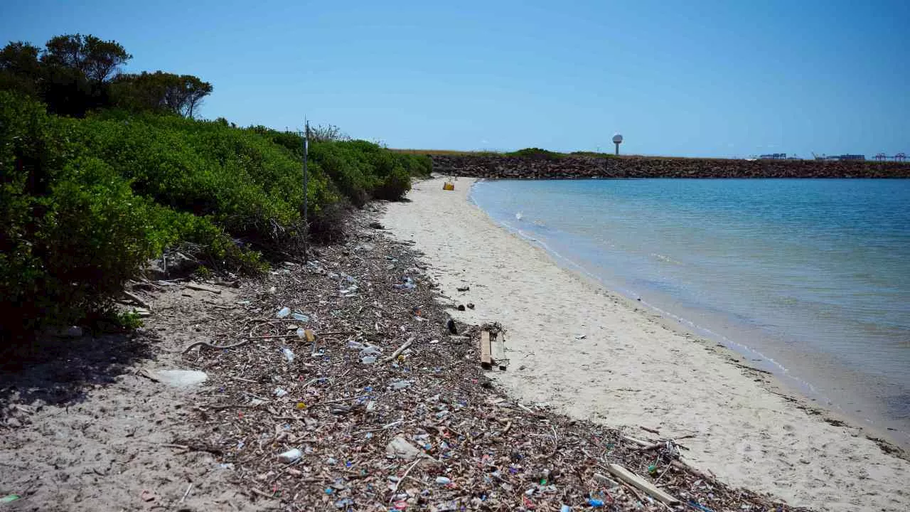 NSW Beach Tested for Cancer-Linked 'Forever Chemicals'