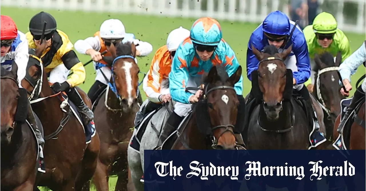 Canberra Races Preview: Top Picks and Analysis