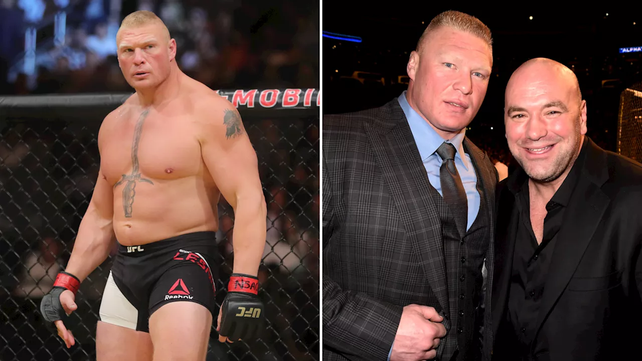 Former UFC Champ Reveals Shocking Pay for Lesnar Fight