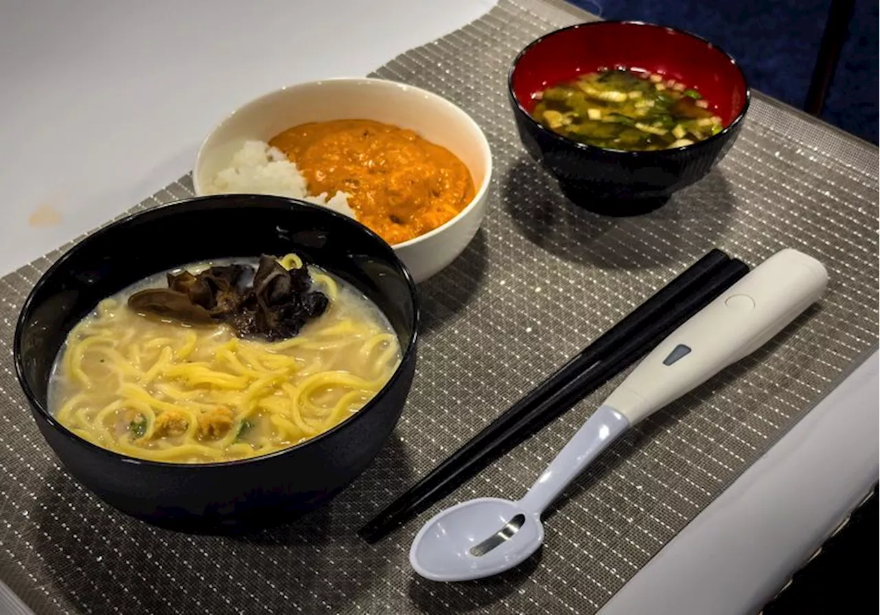 Electric Spoon Promises Healthier, Saltier Meals