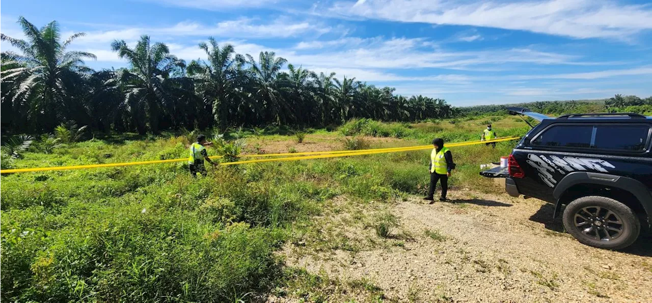 Environmental department uncovers raw sewage sludge dumping at Bukit Selambau plantation