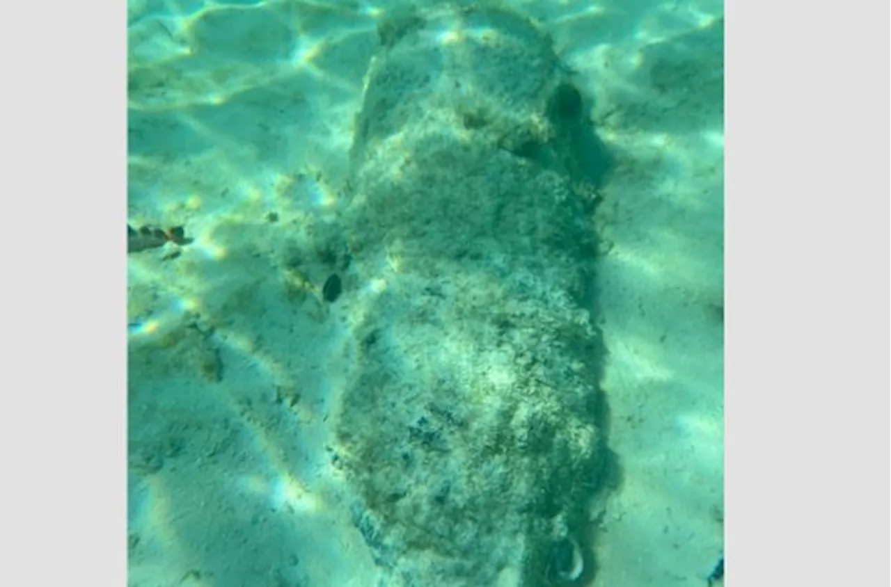 Suspected WWII Bomb Found Off Semporna Island