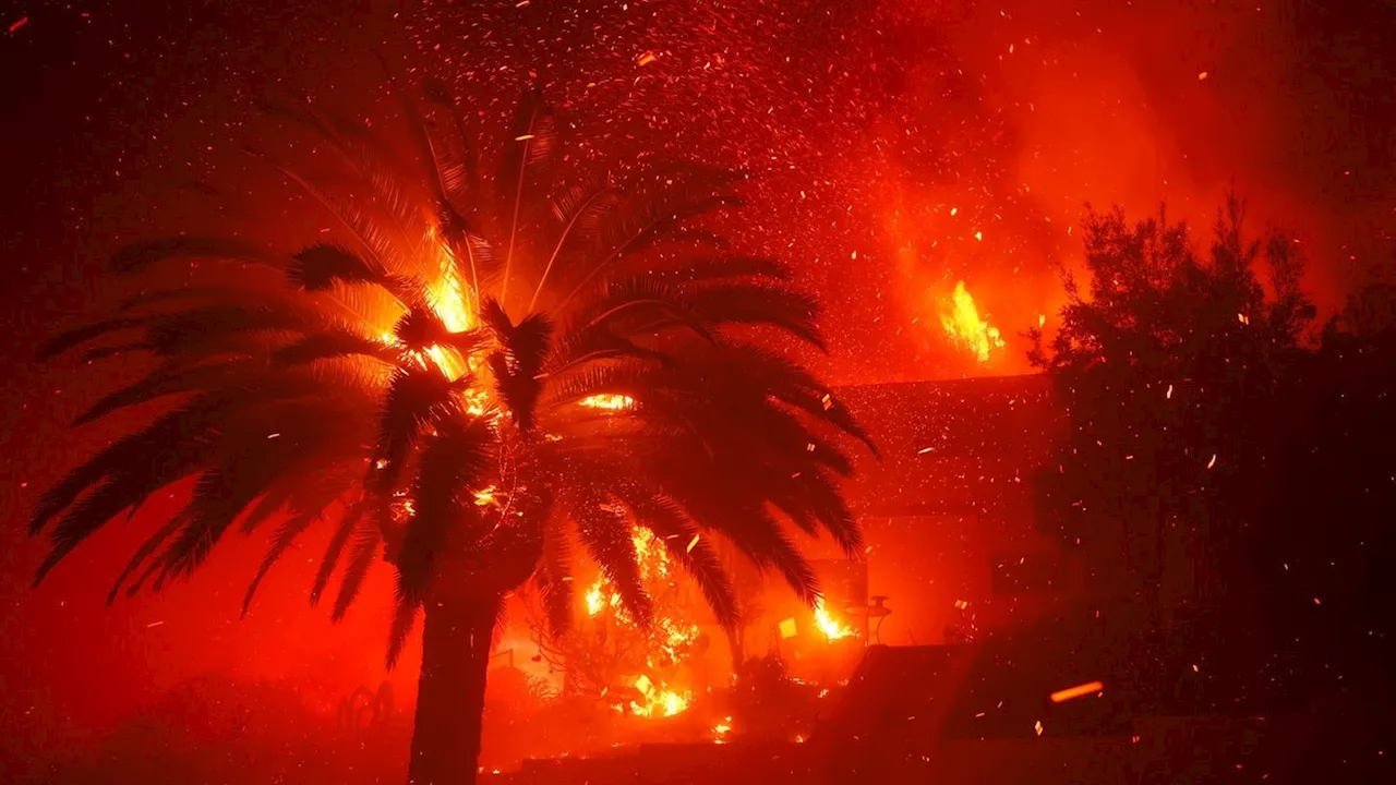 Waldbrände bei Los Angeles: Tausende fliehen vor Feuerinferno