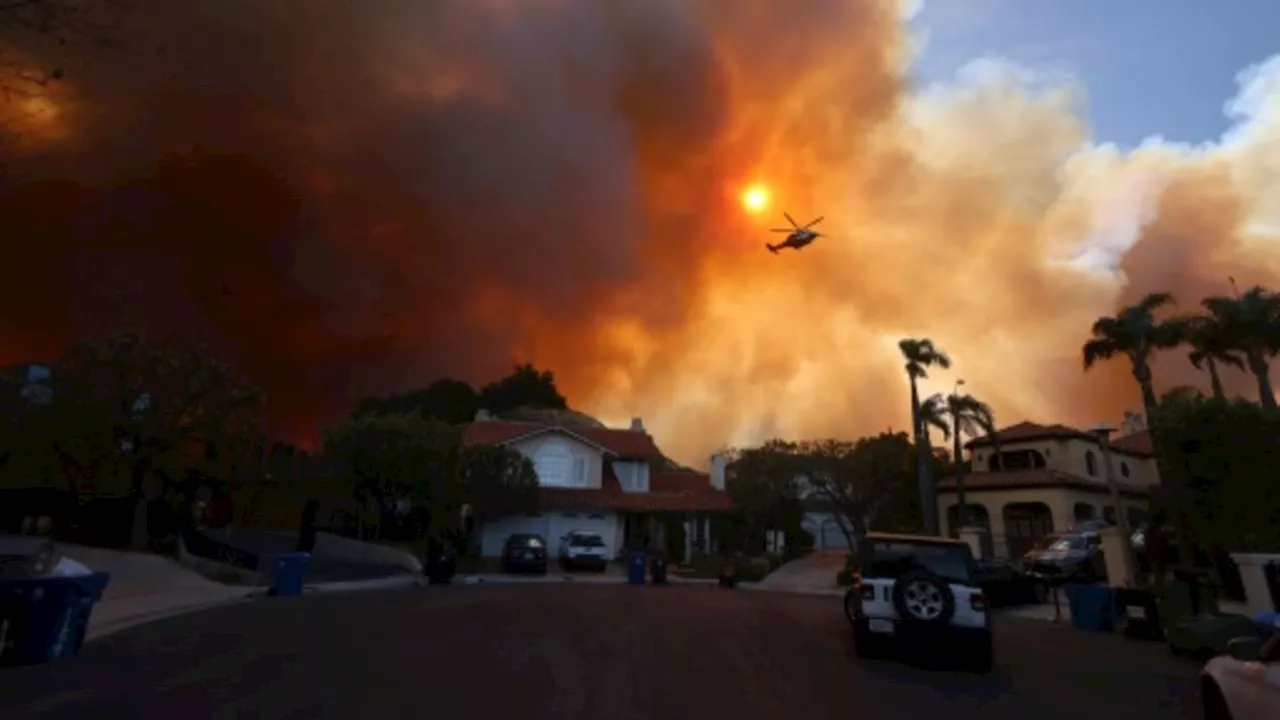 Waldbrände in Los Angeles treiben Tausende in die Flucht