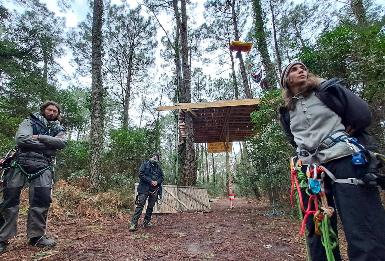 Des opposants au projet RTE campent en forêt dans les Landes