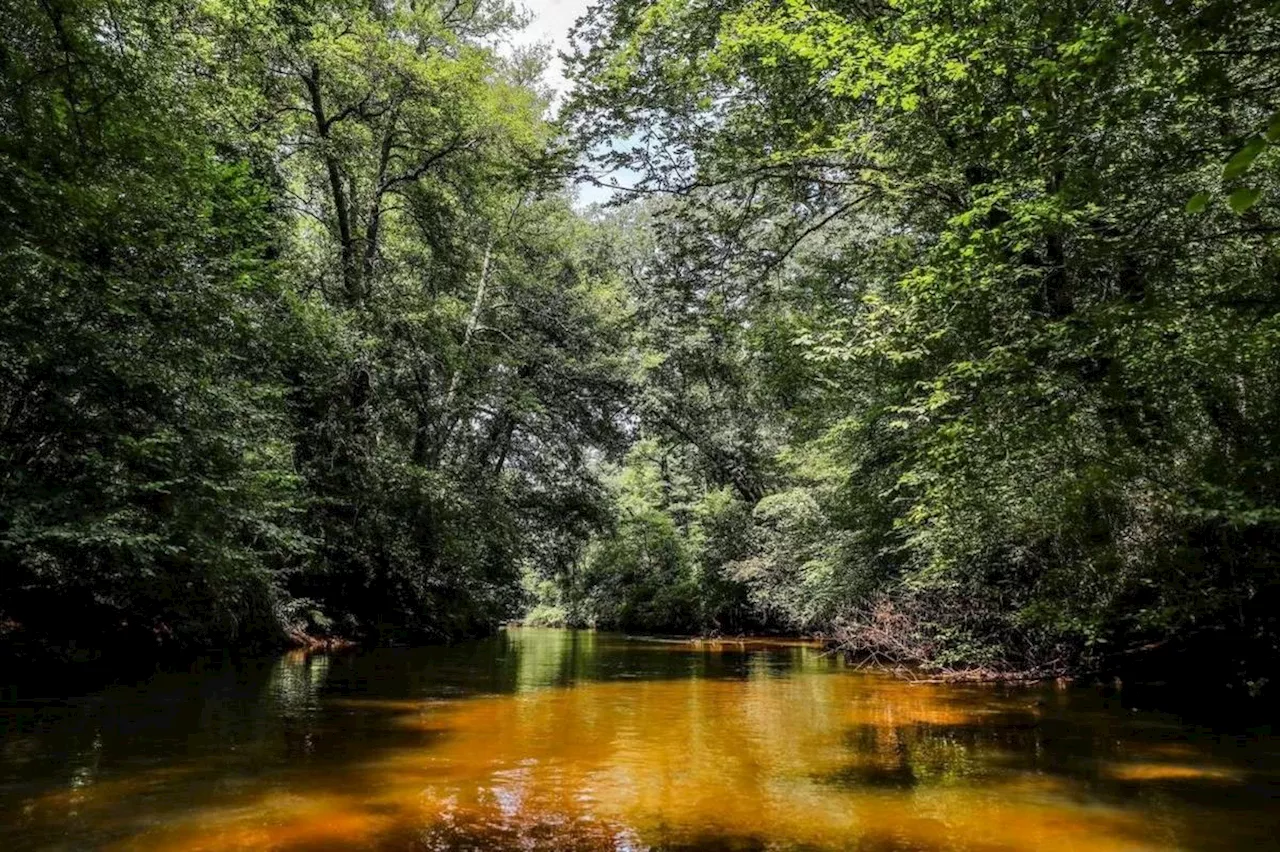 Sud-Gironde : une nouvelle réunion publique pour donner des droits à la rivière Ciron