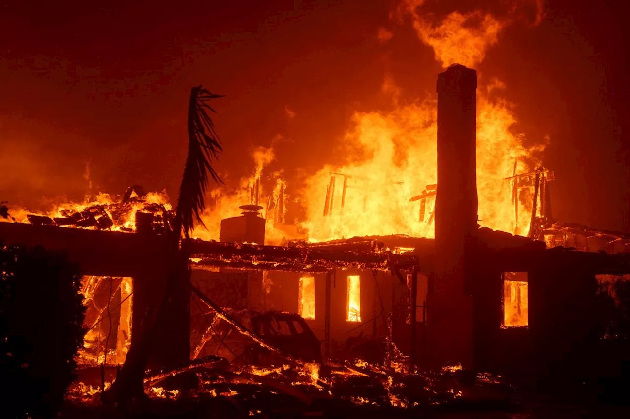 Un incendie de forêt ravage un quartier huppé de Los Angeles