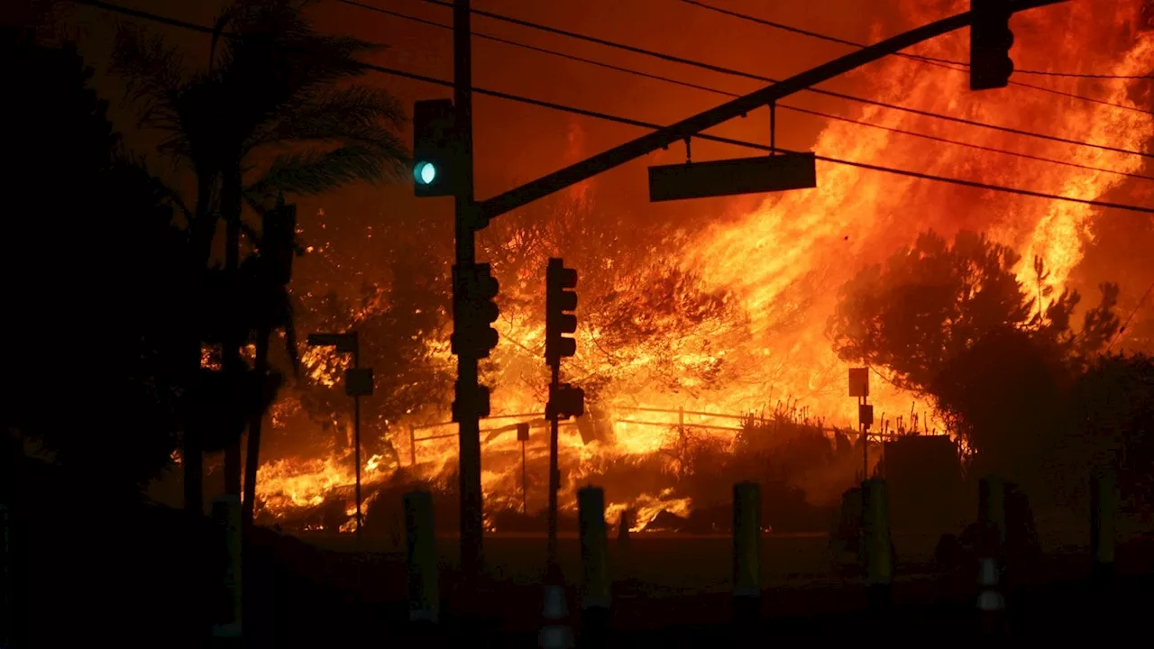 Waldbrand in Pacific Palisades - Stars vor dem Inferno