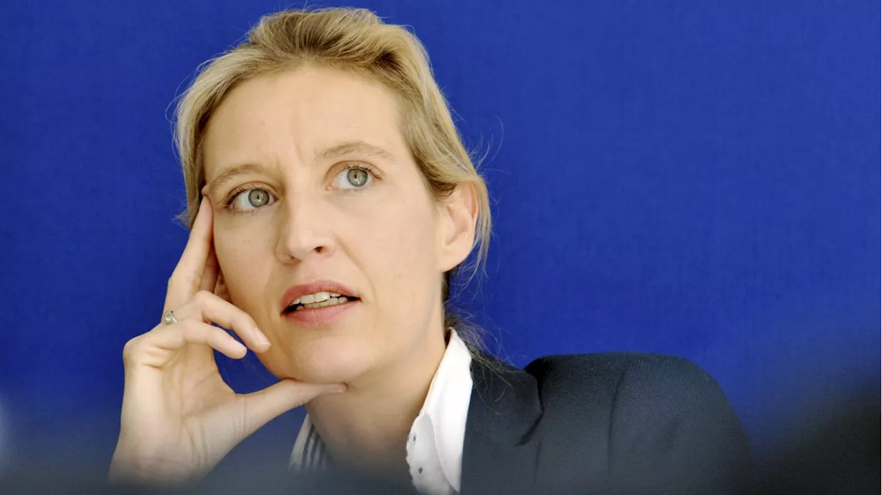 „Normalerweise verkauft X eine solche Reichweite“: Steckt hinter Musks Live-Interview mit Weidel eine illegale Parteispende?