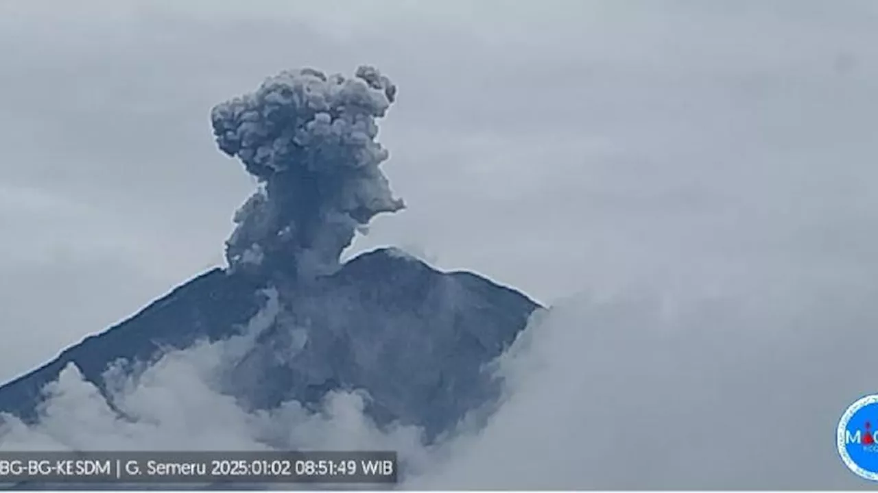 Letusan Gunung Semeru T terus Berlangsung