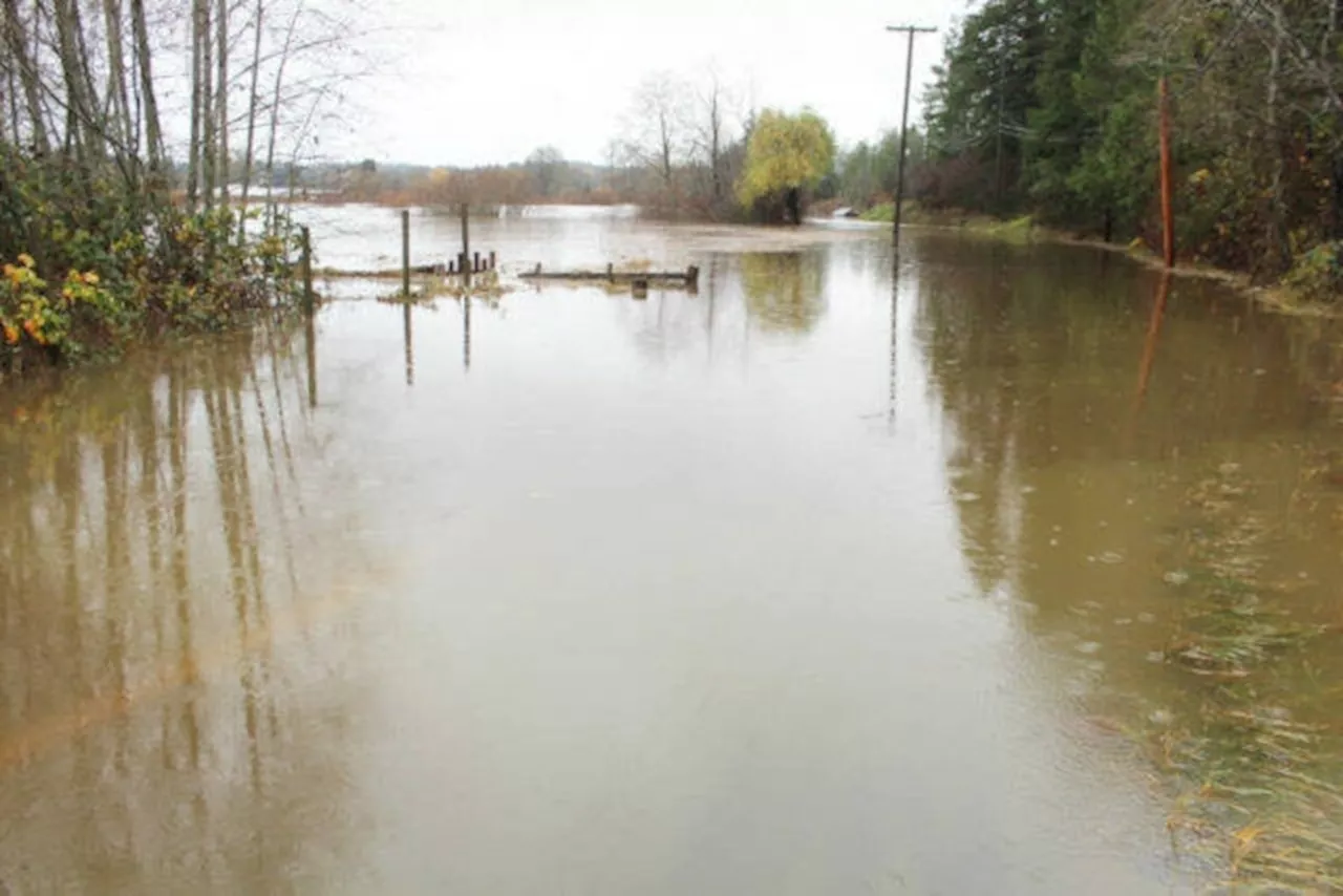 Halalt First Nation Sues Over Catastrophic Flooding Caused by Forestry Practices and Infrastructure Failures