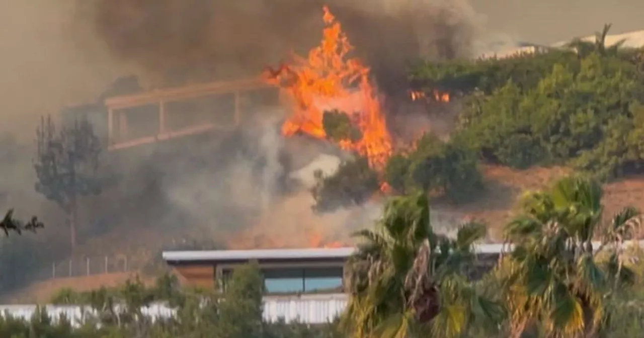 Incêndios em Los Angeles Forçam Evacuações Massivas