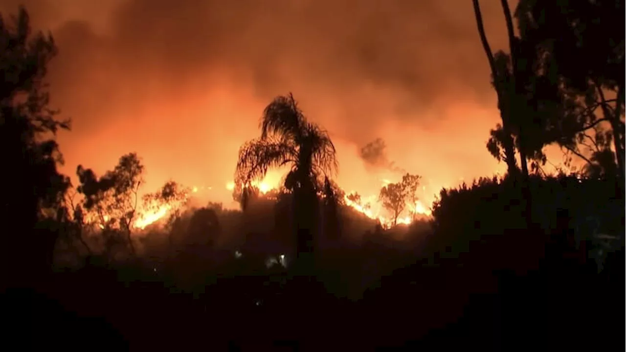 Critics Choice Awards Postponed Amid Devastating Wildfires in Southern California