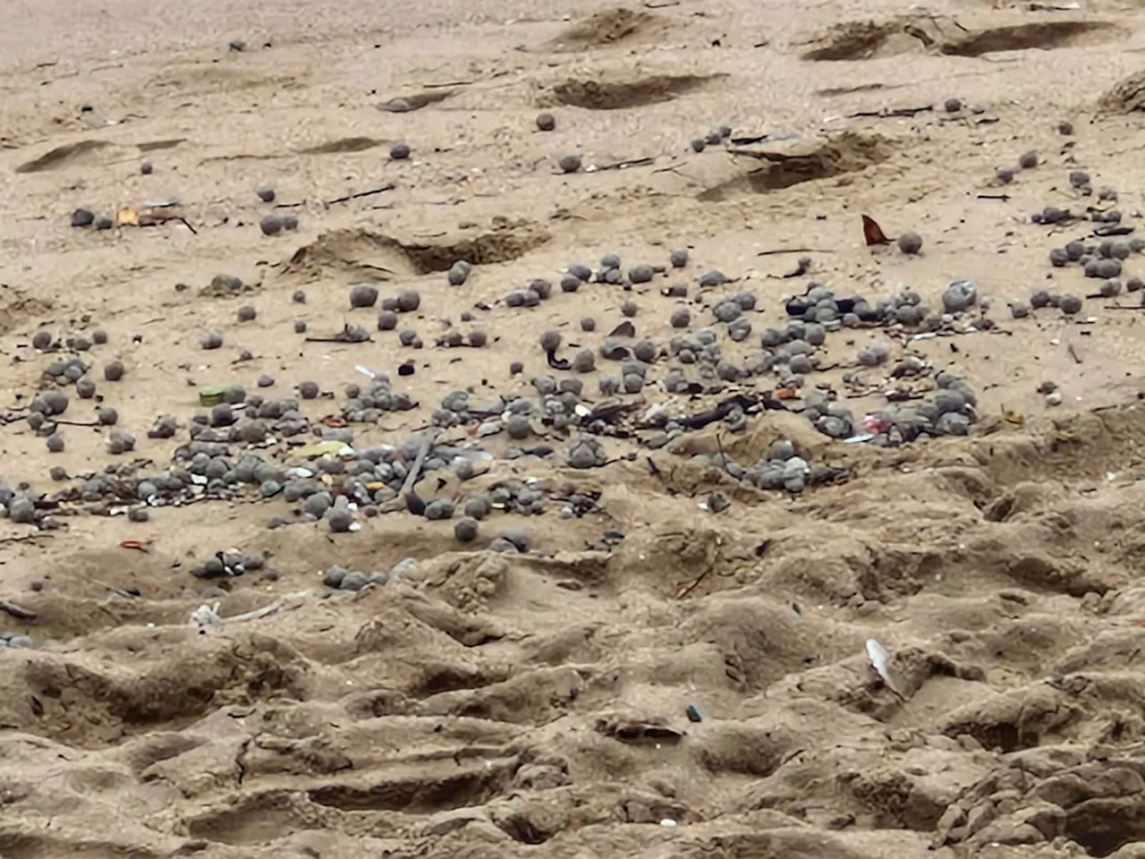 Mysterious Balls Force Closure of Umhlanga Beaches