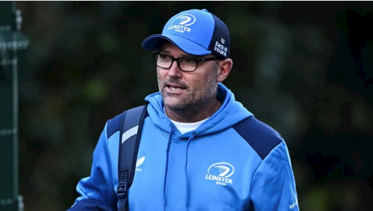 Springbok champion Nienaber linked to Ireland coaching role