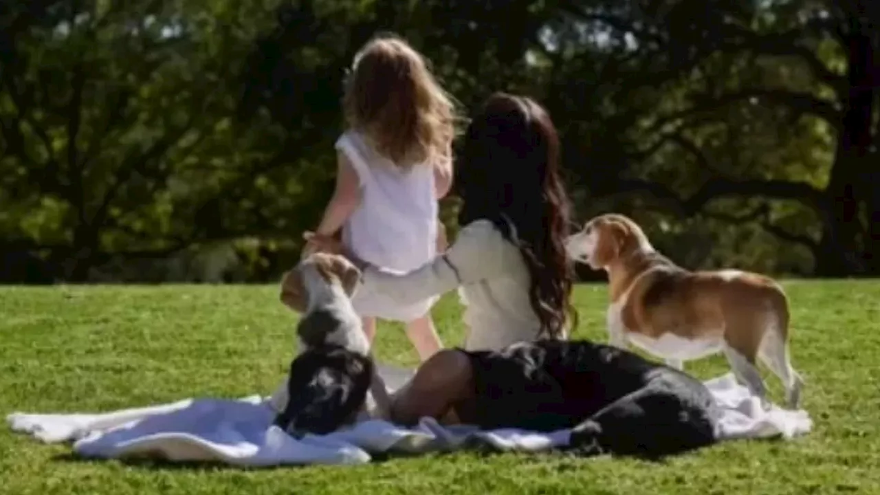 Meghan Markle Releases Emotional Tribute Video to Beloved Beagle Guy