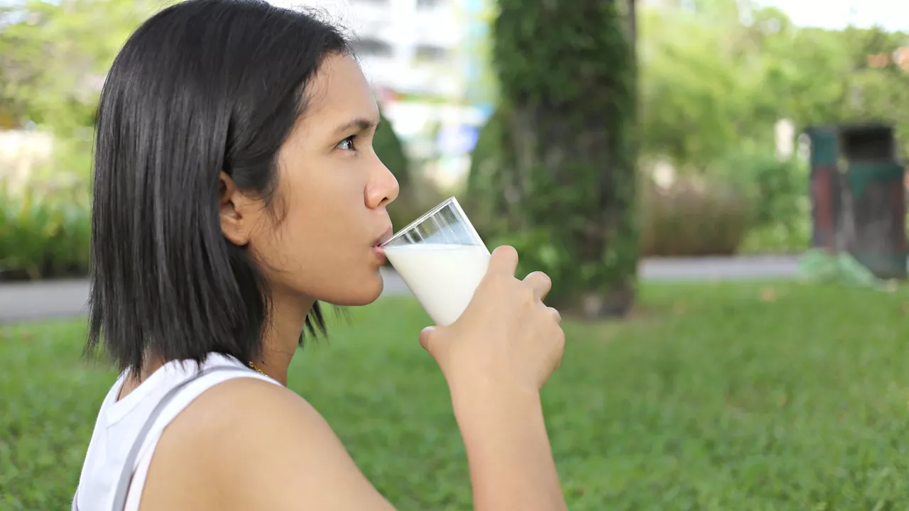 Milk Could Slash Bowel Cancer Risk