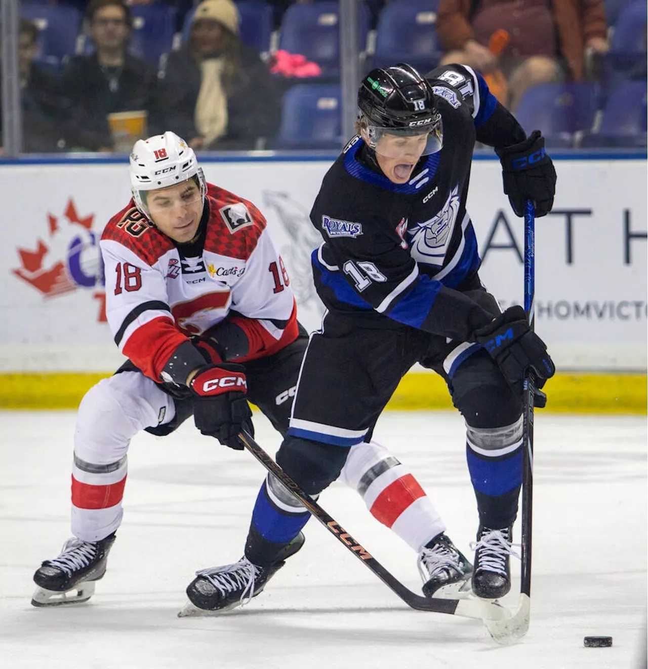 Royals Aim High, Thunderbirds Rebuild in Tonight's WHL Showdown