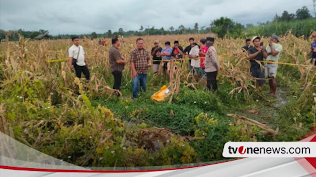 Mayat Tanpa Identitas Ditemukan di Sawah Lumajang