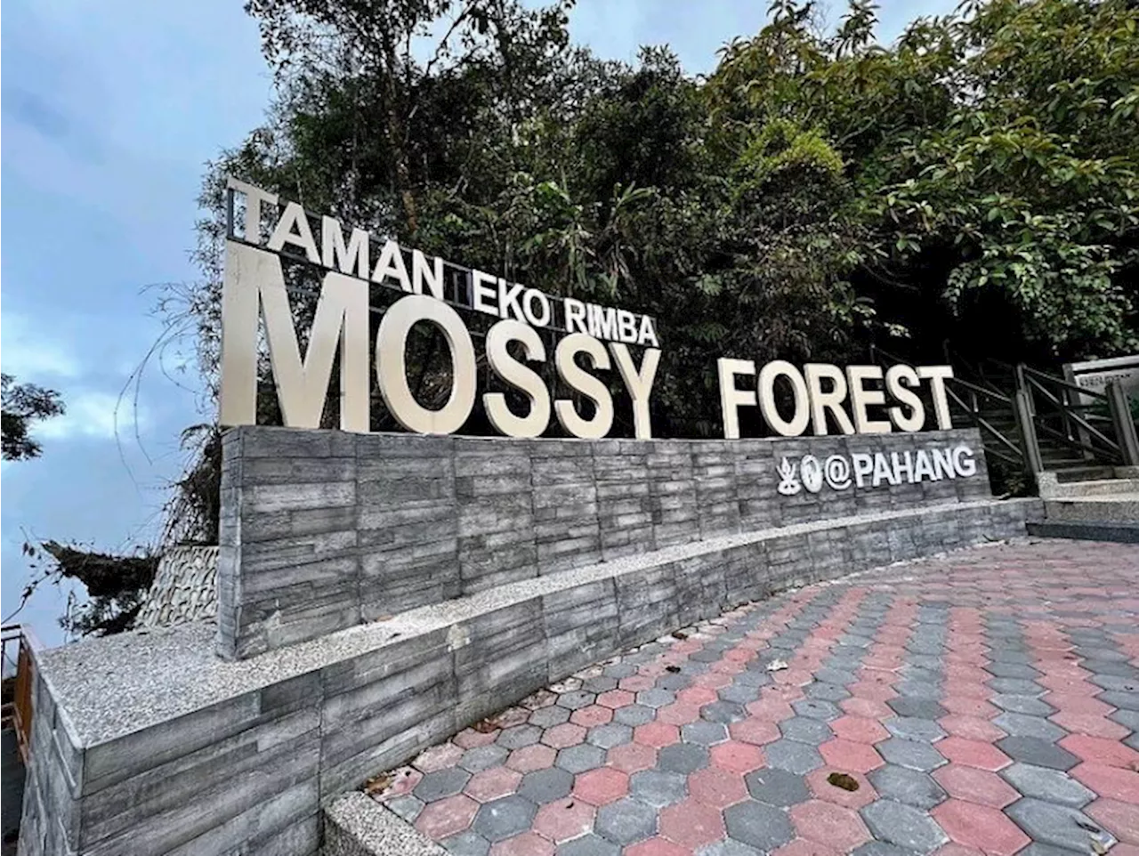 Mossy Forest in Cameron Highlands Closed After Landslide