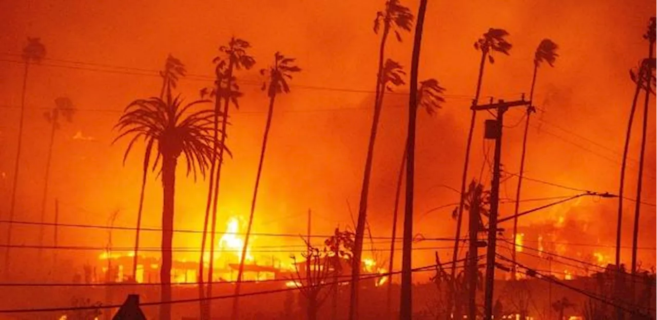 Incêndios na Califórnia devastam áreas e causam caos