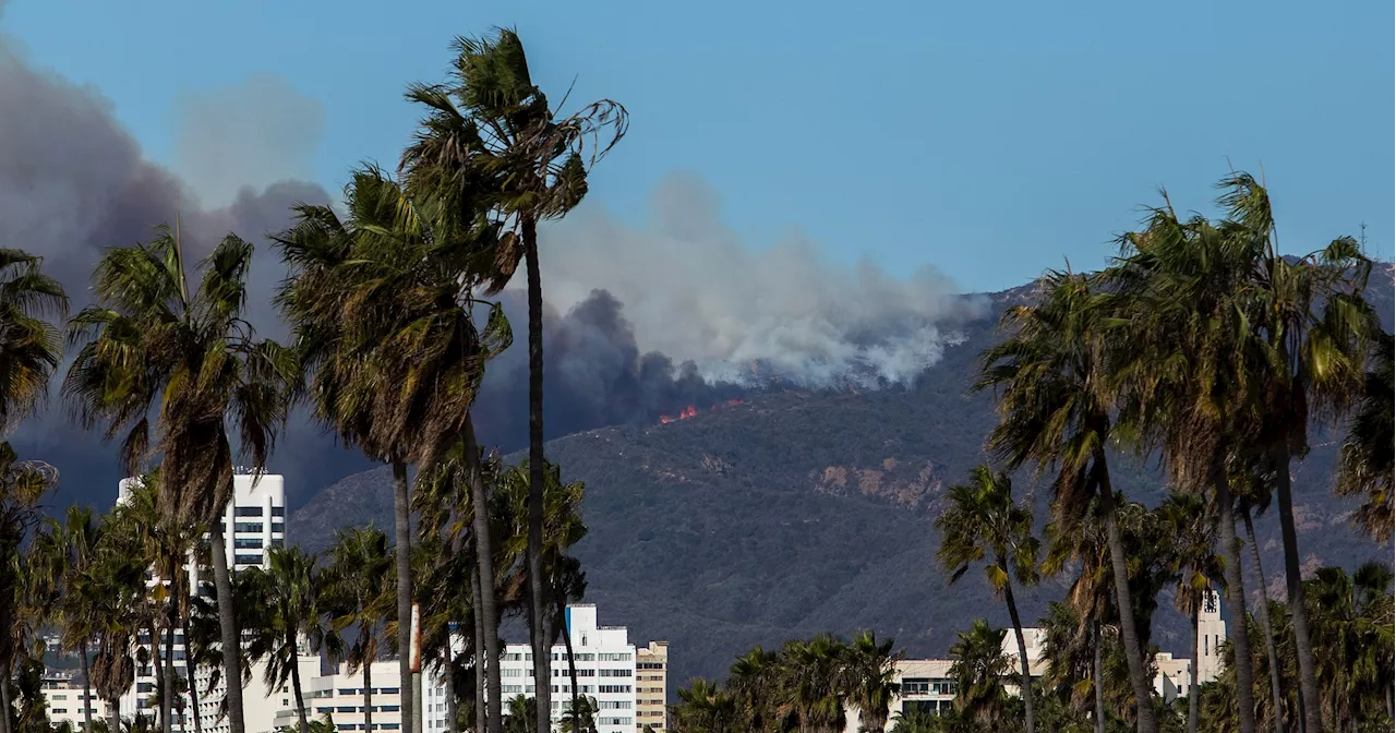 Brush Fires Force Evacuations in Los Angeles, Celebrities Affected