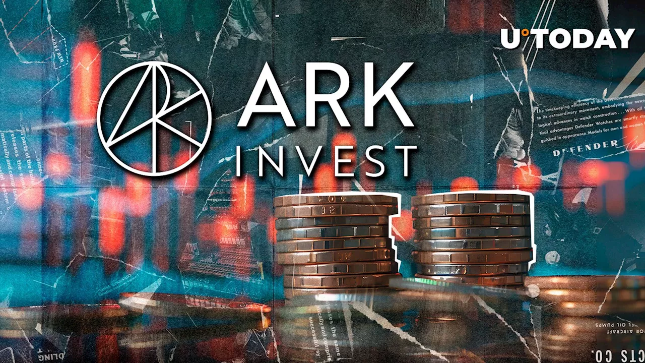 Ark Invest's Elmandjra Departs After Building 'One of the Best Crypto Teams'