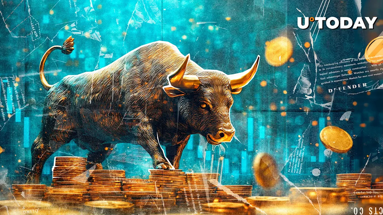 Phemex: A Crypto Exchange Poised for the Bull Run