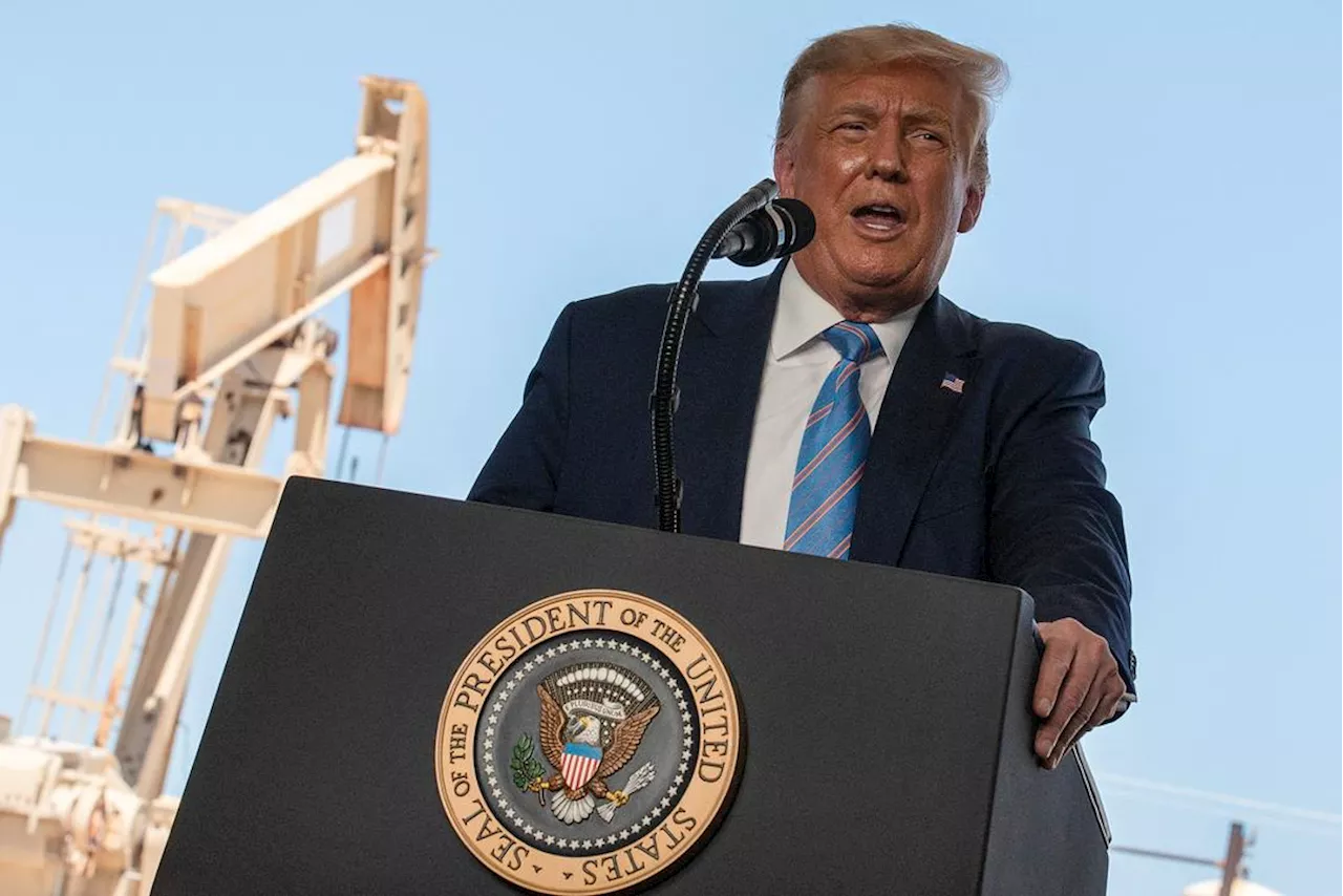 Trumps Advokater Anker Straffeutmåling I Hysjpenge-Saken