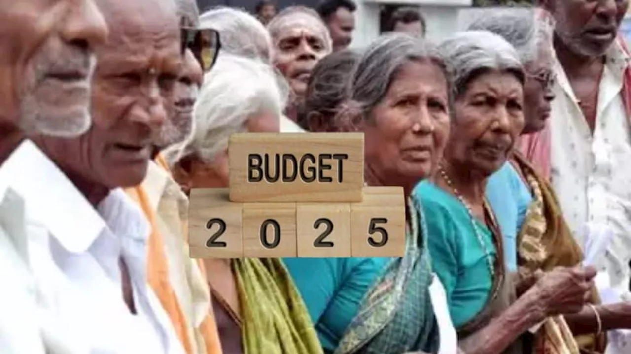 மூத்த குடிமக்களுக்கான 2025 பட்ஜெட்: நிதி சீர்திருத்தங்கள்