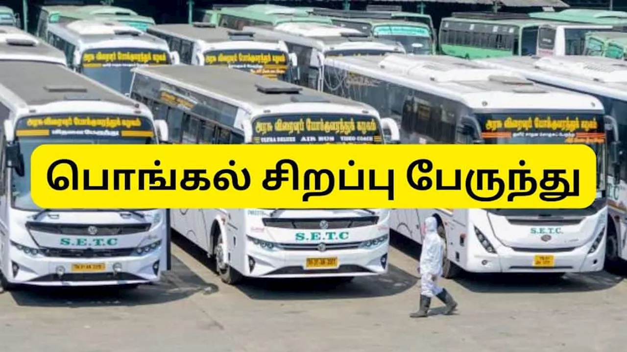 Pongal Special Buses: Tamil Nadu Government Announces Details